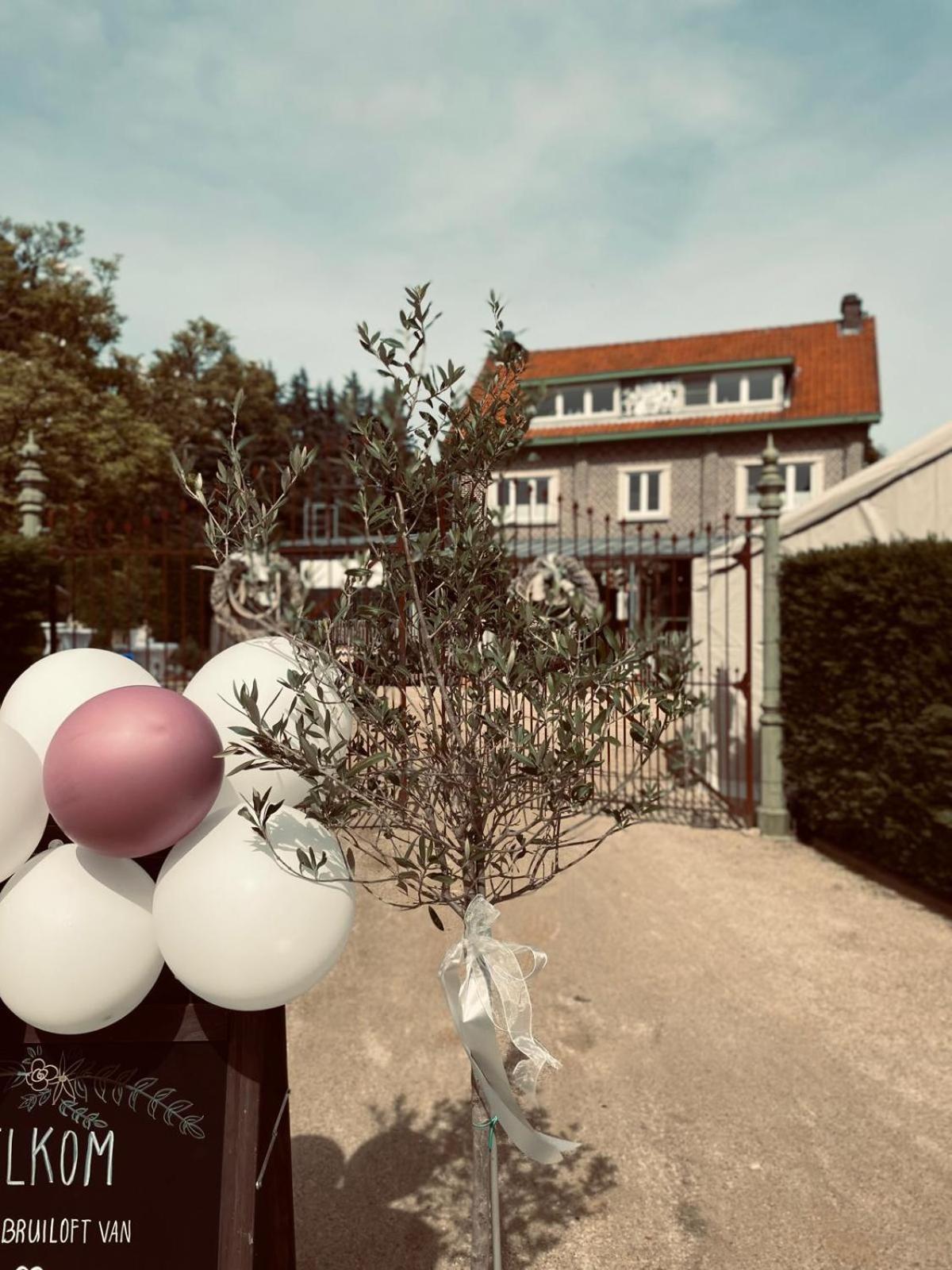 Guesthouse 'T Goed Leven Stokrooie Zewnętrze zdjęcie